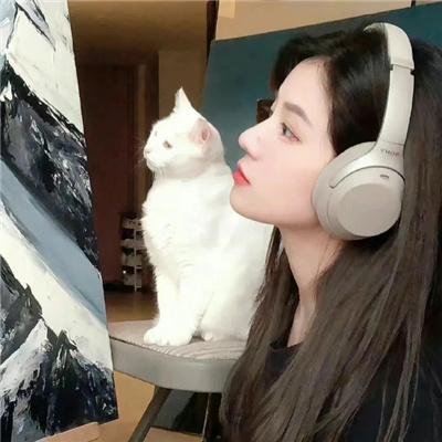 灵驹续集